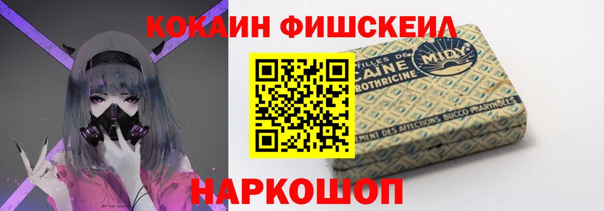 Кокаин FishScale  закладка  Cocaine FishScale  Каменка  Вход с VPN 