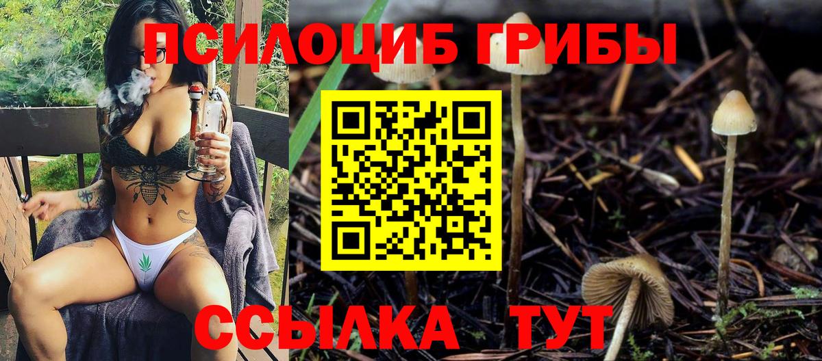 Псилоцибиновые грибы Psilocybine cubensis Каменка