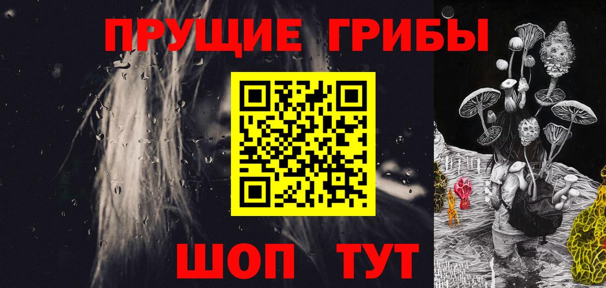 закладки  Псилоцибиновые грибы Psilocybe  Вход с VPN  Каменка 